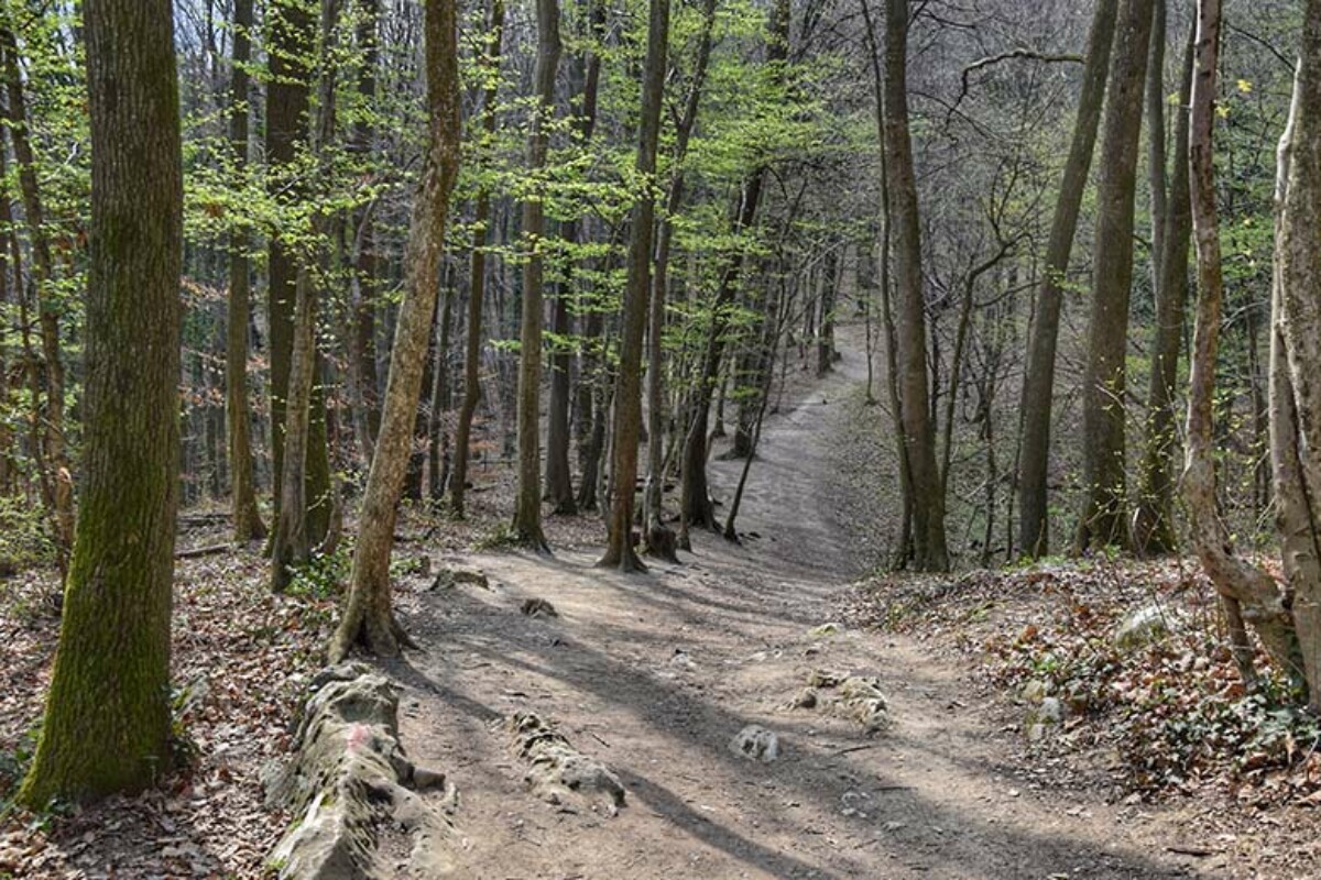 Medvednica Sljeme planinarska staza