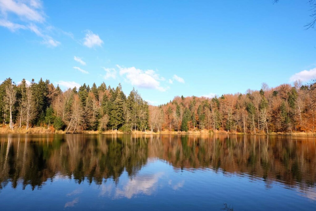 Jezero Trakošćan