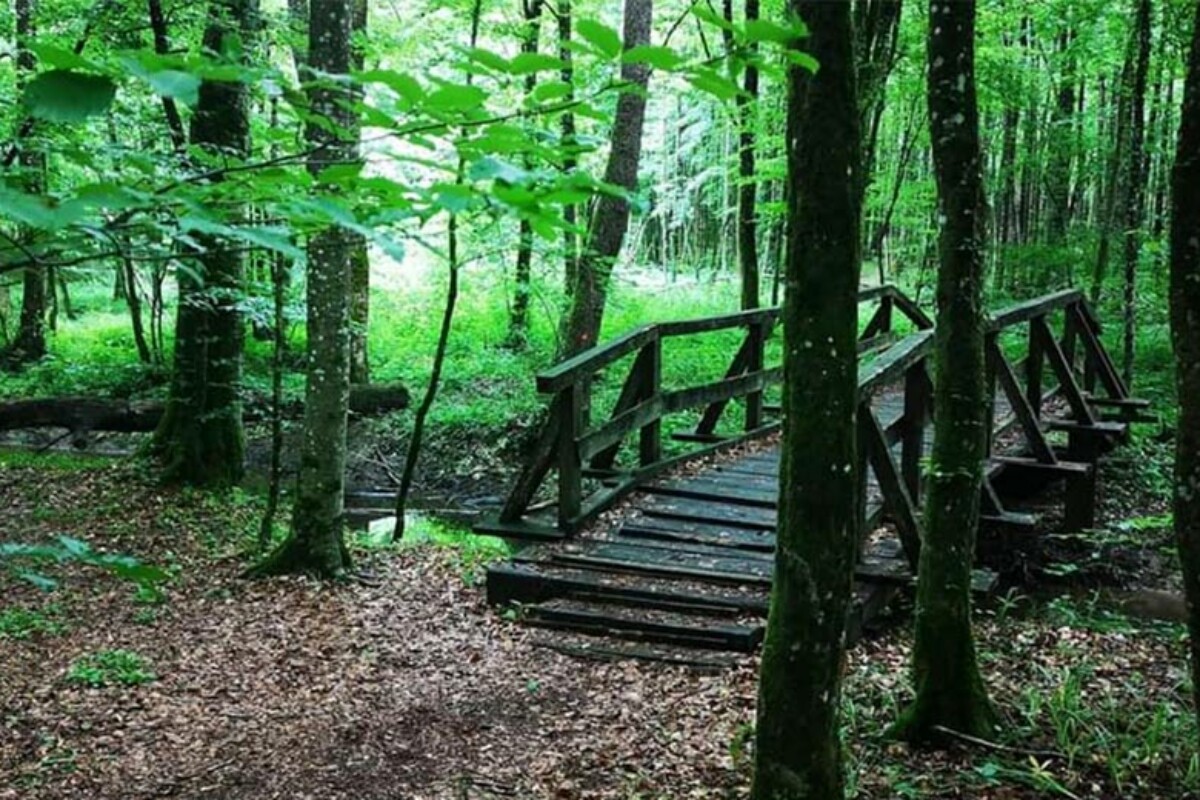 Tri prekrasne pješačke staze u blizini Zagreba za aktivan vikend u prirodi