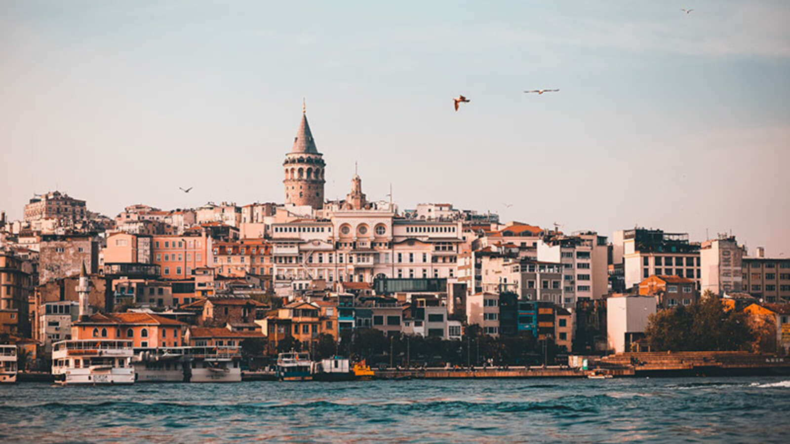 Istanbul Neodoljive macke u Istanbulu Neodoljive mačke u Istanbulu: Grad u kojem su mačke kraljice, a ljudi samo njihovi sluge