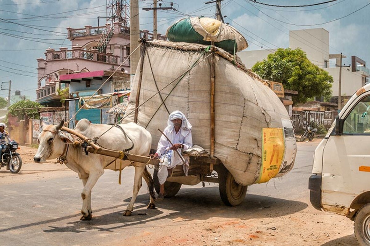 Život u Indiji - Zemlja velikih različitosti i suprotnosti