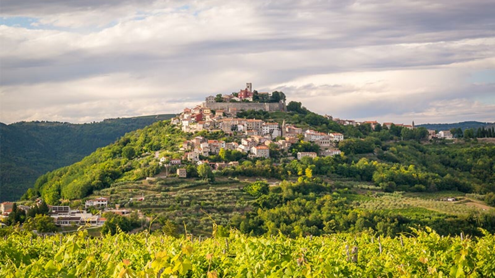Najljepše hrvatske vinske destinacije: hedonistički izlet uz dobru kapljicu