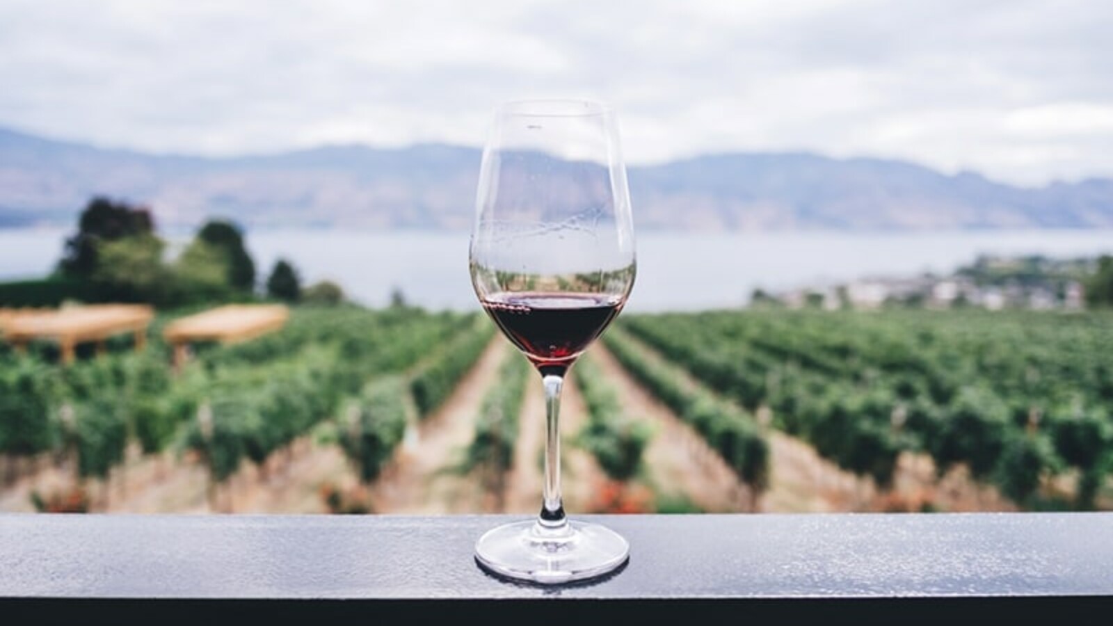 Najljepse-vinarije-u-Hrvatskoj Najljepše vinarije u Hrvatskoj
