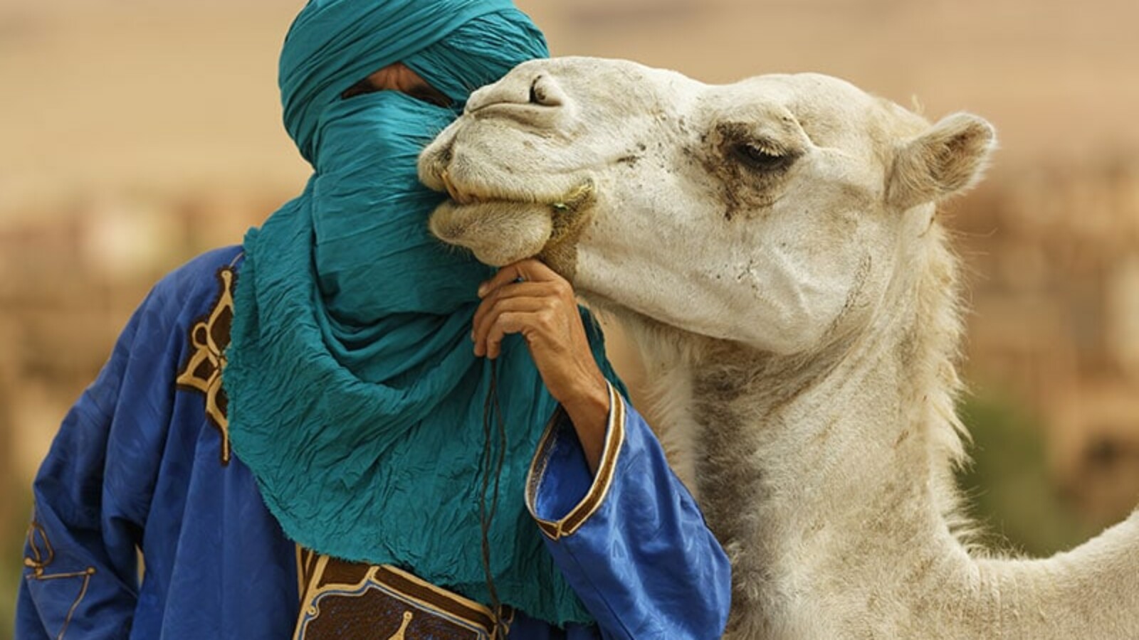Tuareg - Pleme u kojem muškarci prekrivaju lice, a žene imaju ljubavnike
