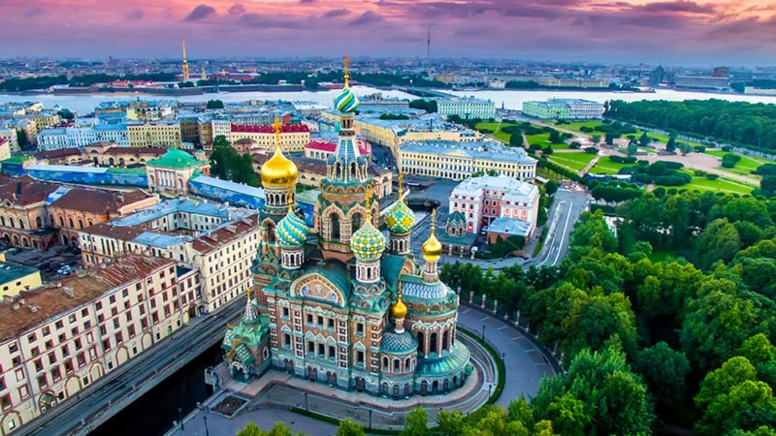 Sankt-Petersburg-rusija Sankt Petersburg, pravi raj za ljubitelje mačaka
