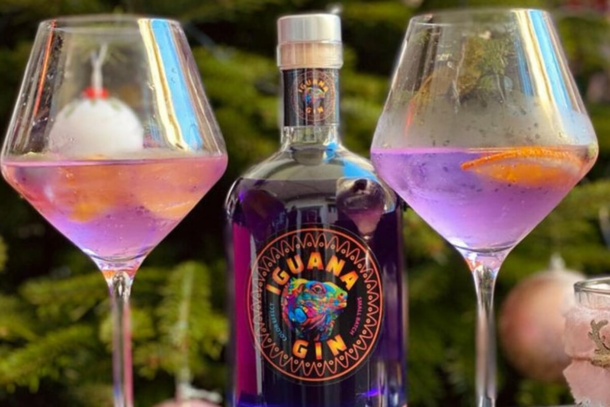 Iguana, magičan gin koji u doticaju s tonikom mijenja boje