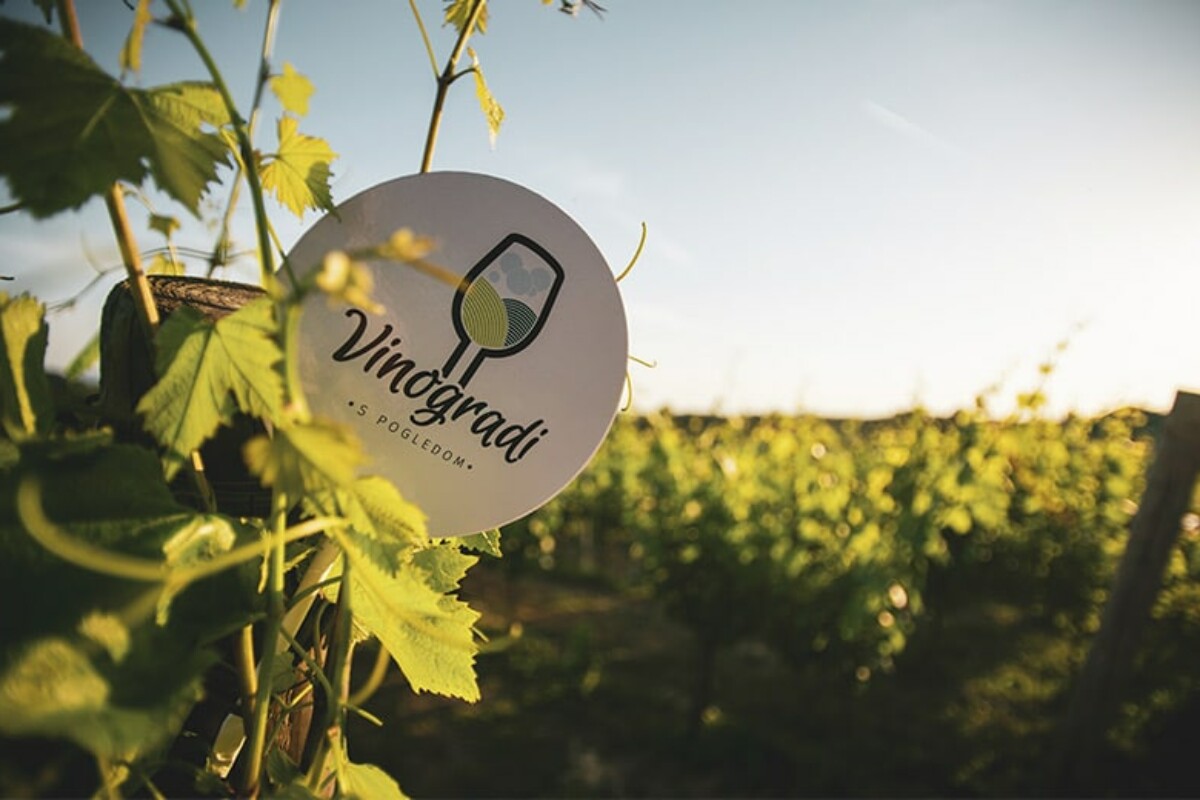 Zagorski vinari predstavili svoje kapljice na Vinogradima s pogledom