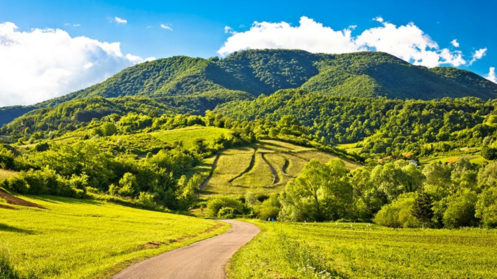 plesivica-jastrebarsko Plešivica