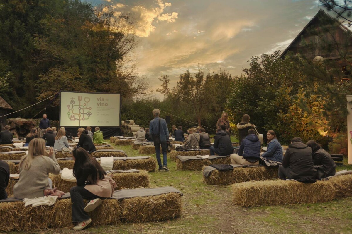 Festival Via Vino