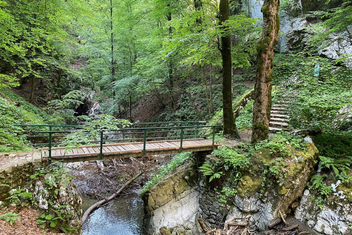 Vražji prolaz – drveni mostić prelazi preko potoka u uskoj šumskoj klisuri, okružen zelenilom, stijenama i stepenicama koje vode dublje u ovaj slikoviti kanjon Gorskog kotara.
