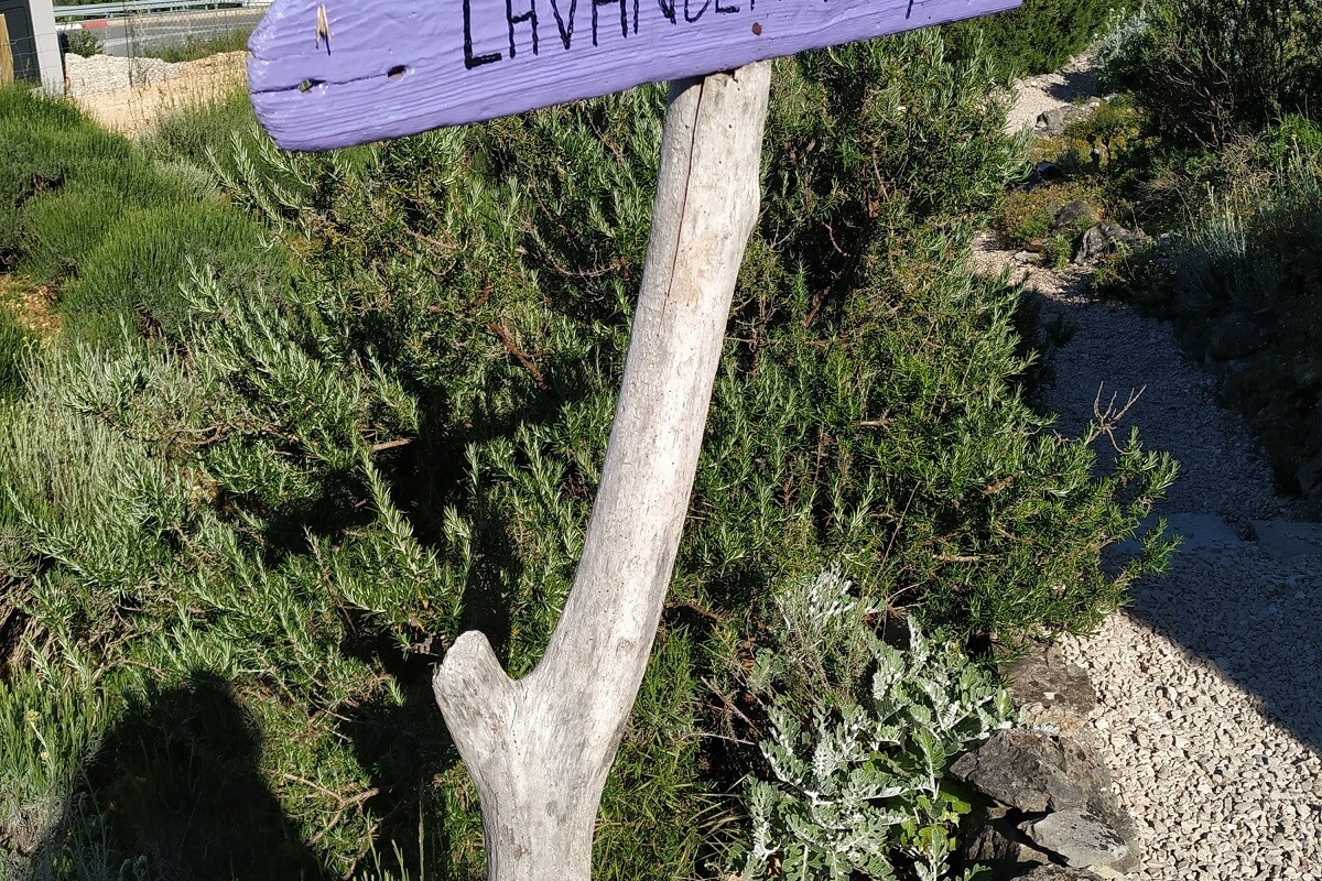 losinj-miomirisni-vrt7