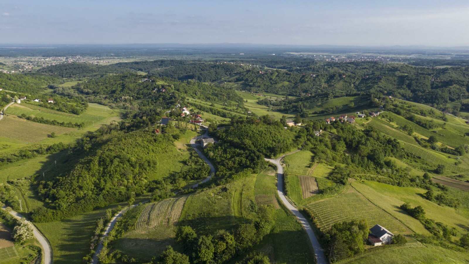 plesivica