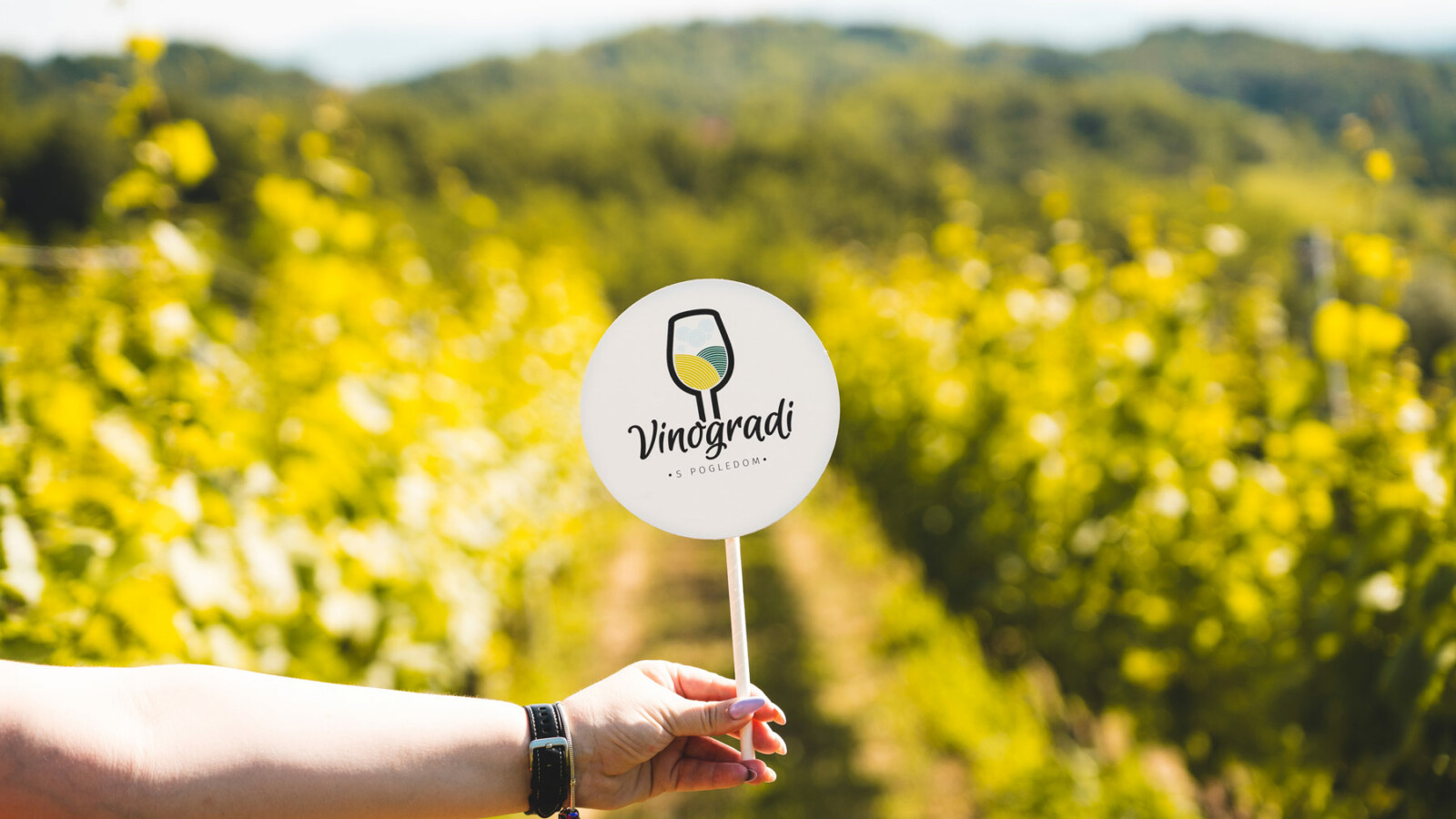 vinogradi-s-pogledom-bolfan