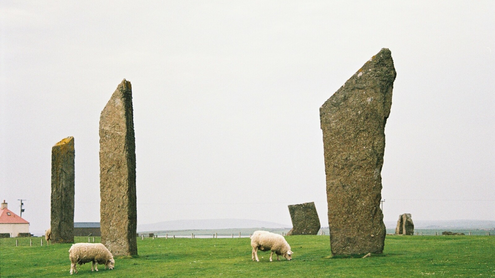 Otocje-Orkney-skotska