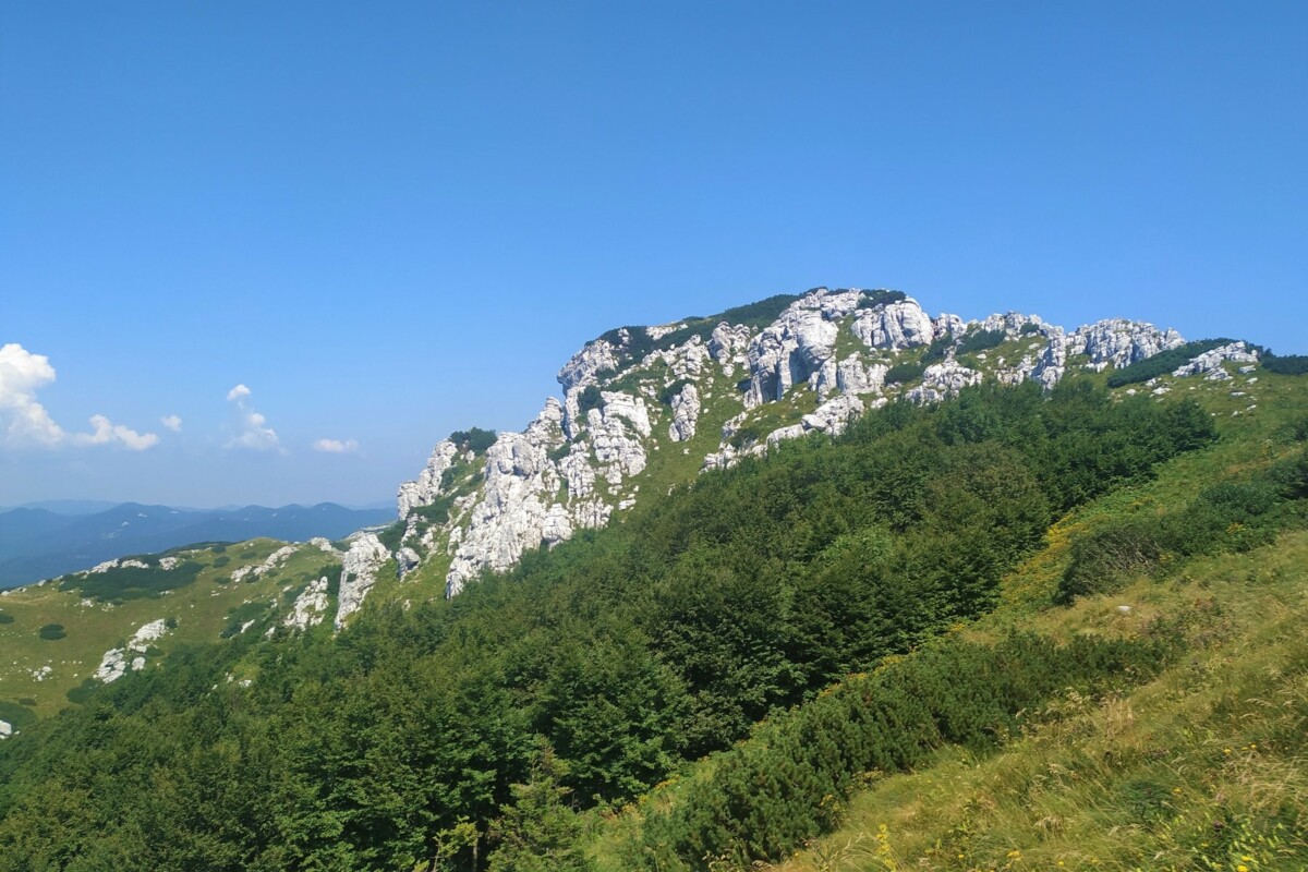 planina-snjeznik