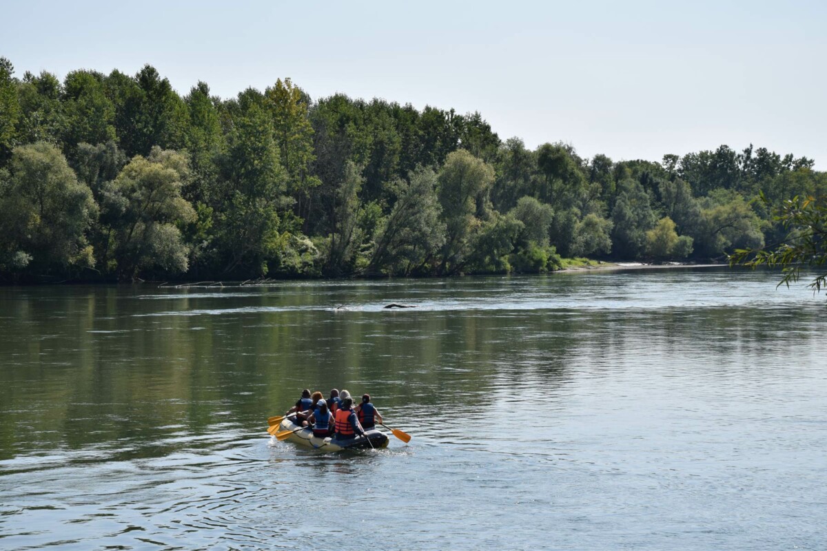 rafting-na-dravi