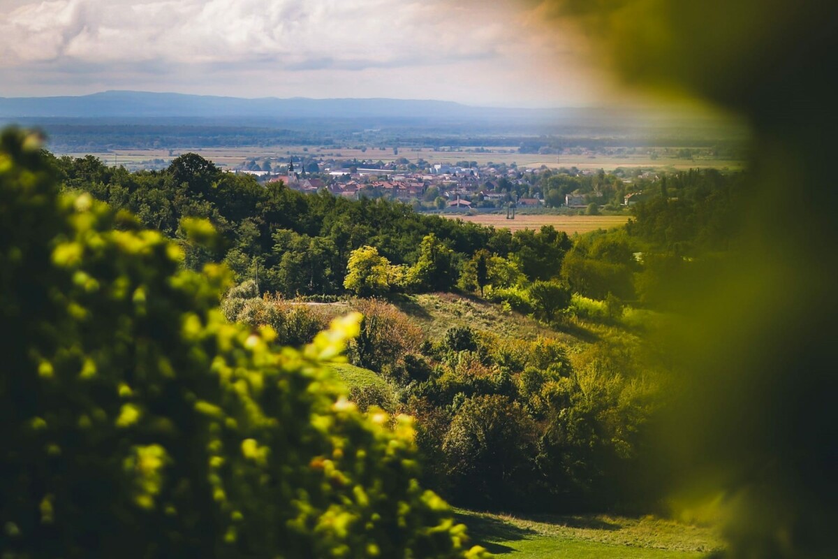 jastrebarsko-plesivica