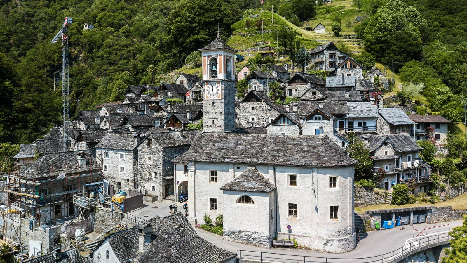 selo-corippo