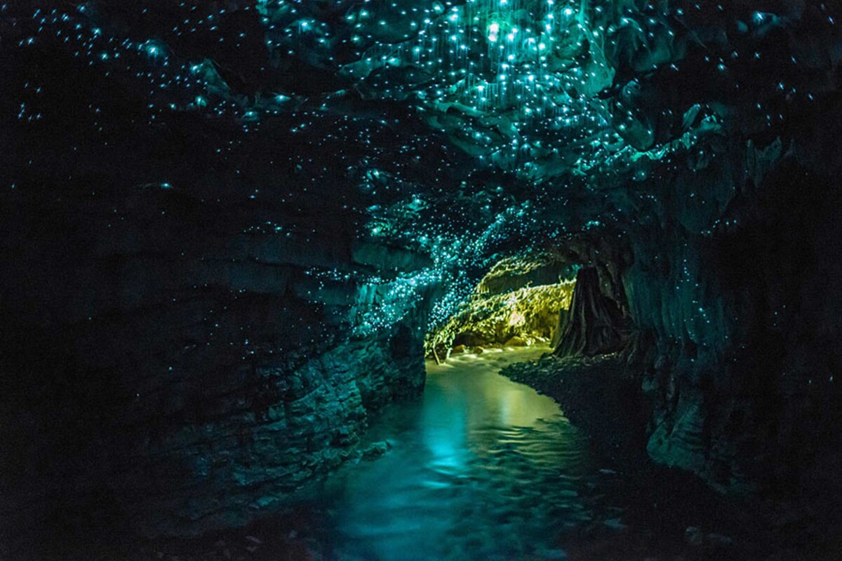 waitomo-spilja-1
