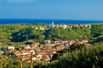 otok-susak