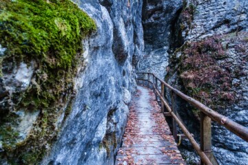 Pješačka staza urezana između stijena klanca Pokljuka, s mahovinom obraslim stijenama i šumskom atmosferom
