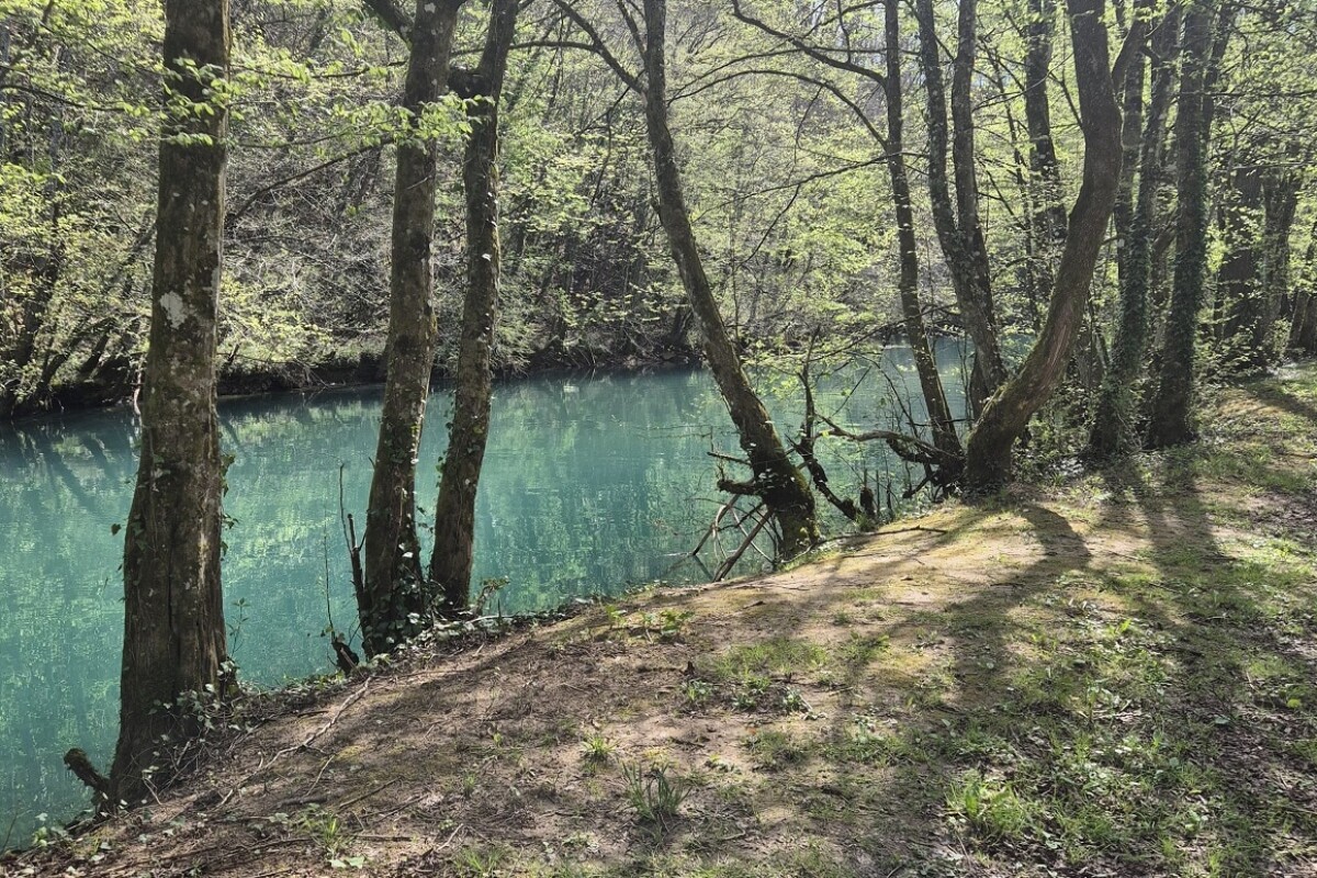 Šetnica uz rijeku Slunjčicu, okružena stablima čije sjene padaju na zemljani put, s pogledom na tirkiznu vodu koja mirno teče kroz gustu šumu.