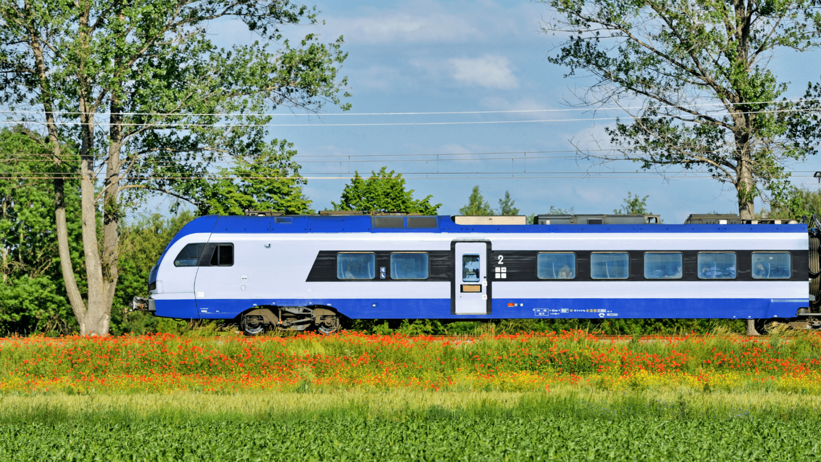 vlak-priroda