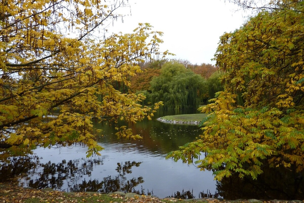 malmo-park