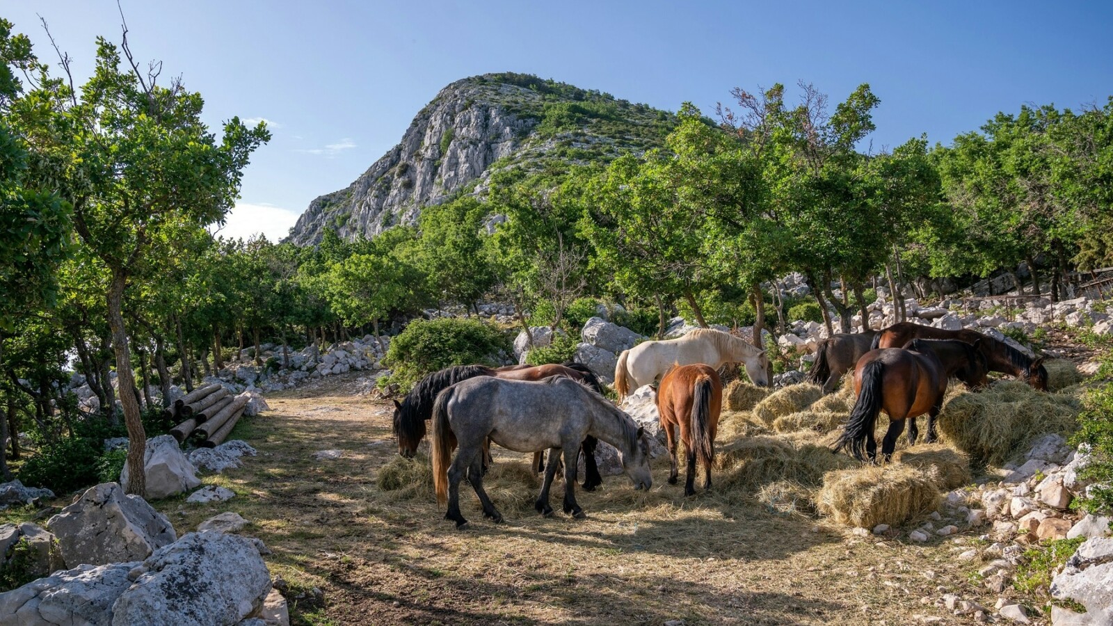 park-prirode-biokovo