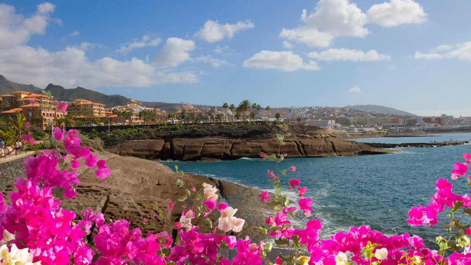 tenerife-kanari-vodic