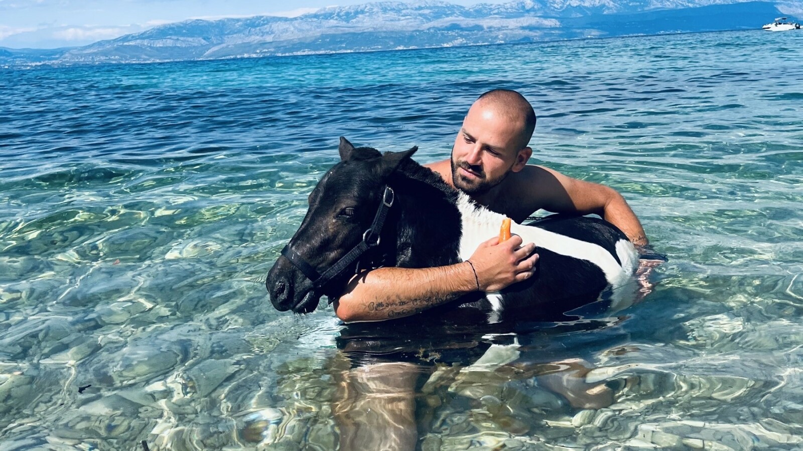 wild-brac-stiven-razmilic
