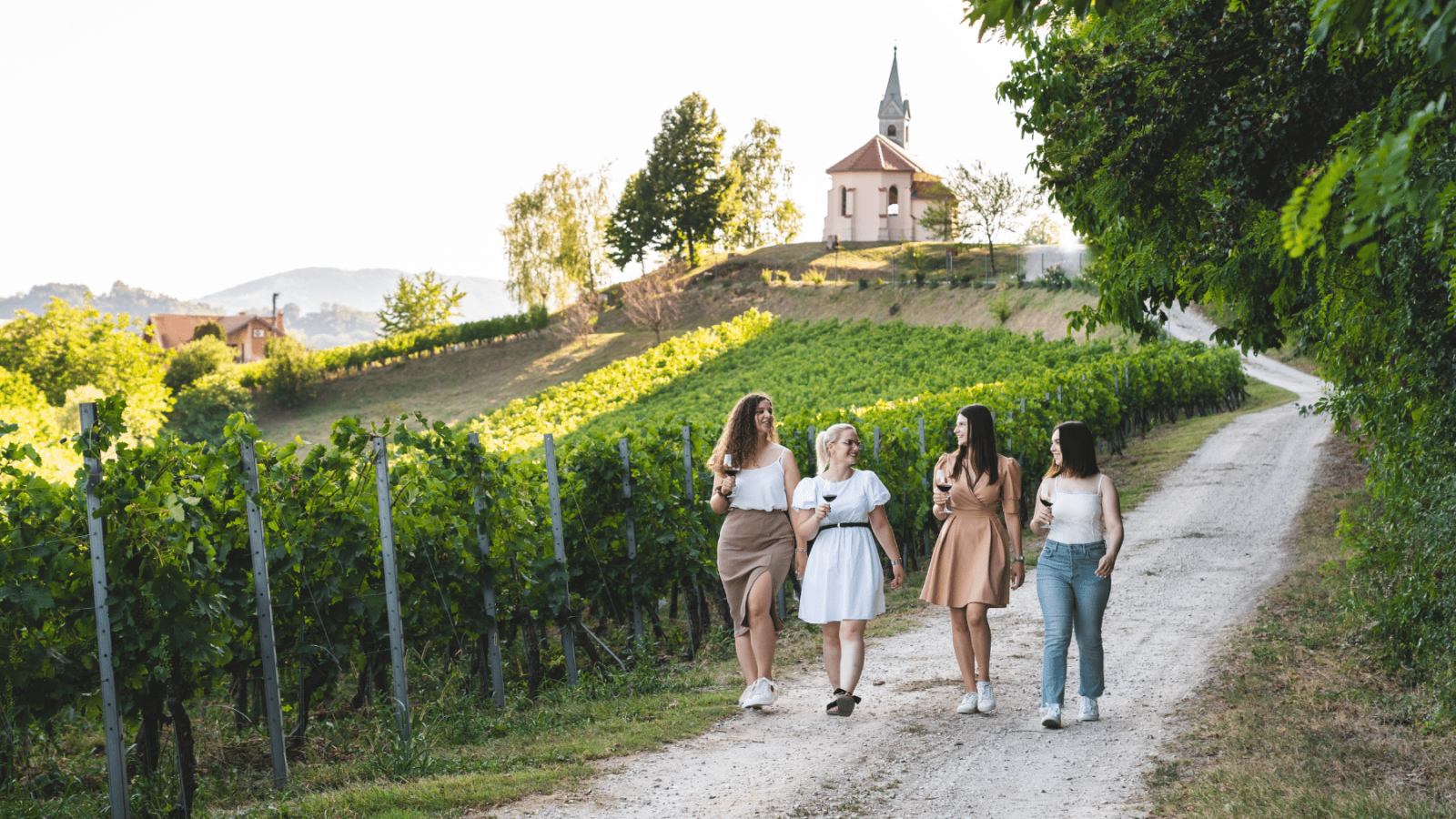zagorje-vinogradi