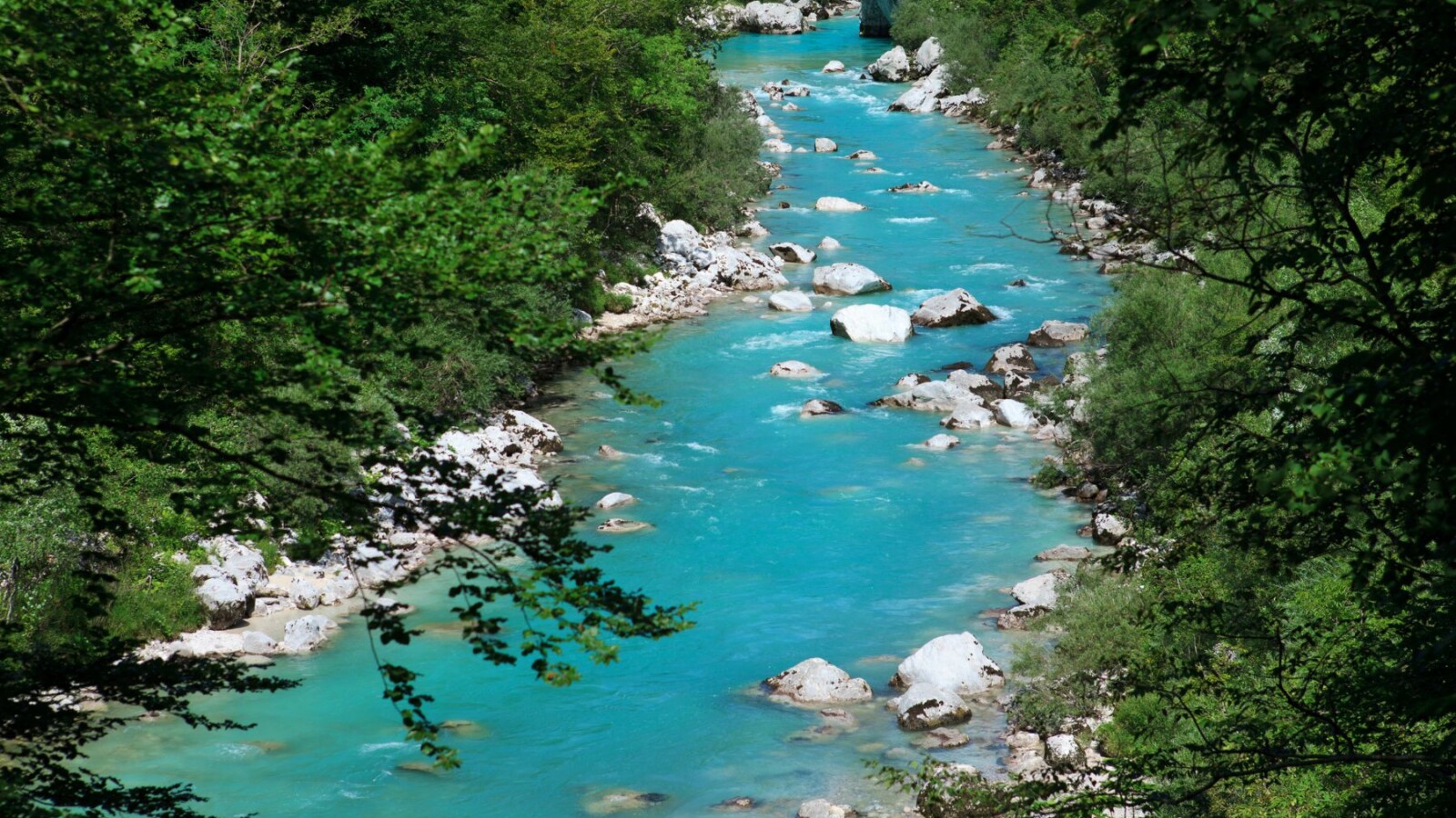tirkizna-rijeka-slovenija