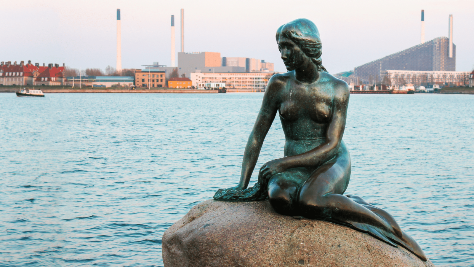 kip-male-sirene-kopenhagen