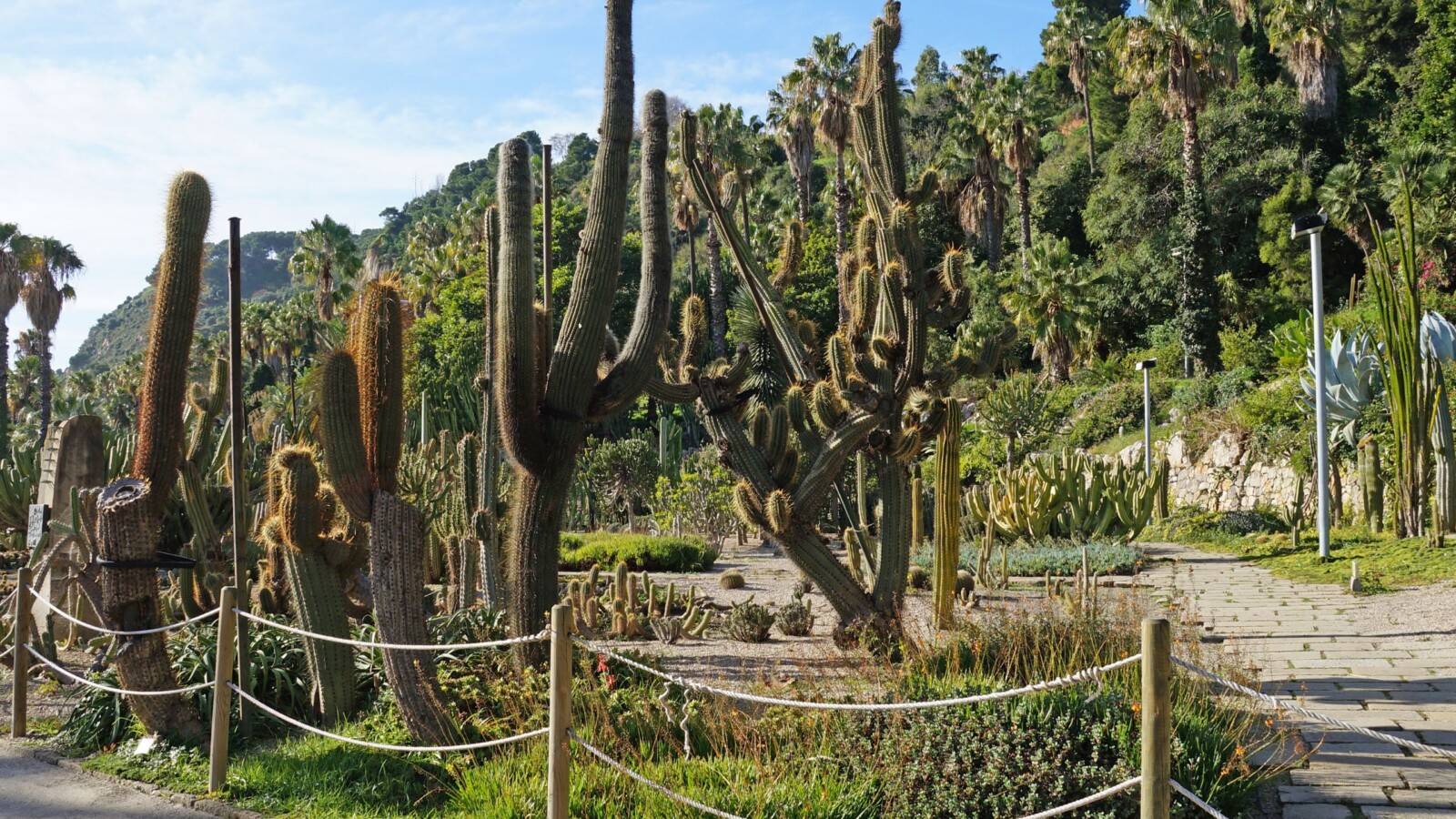park-kaktusa-barcelona