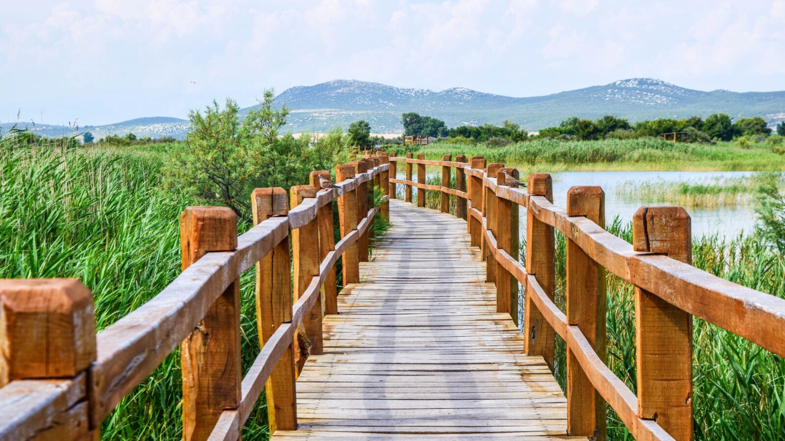 vransko-jezero-setnica