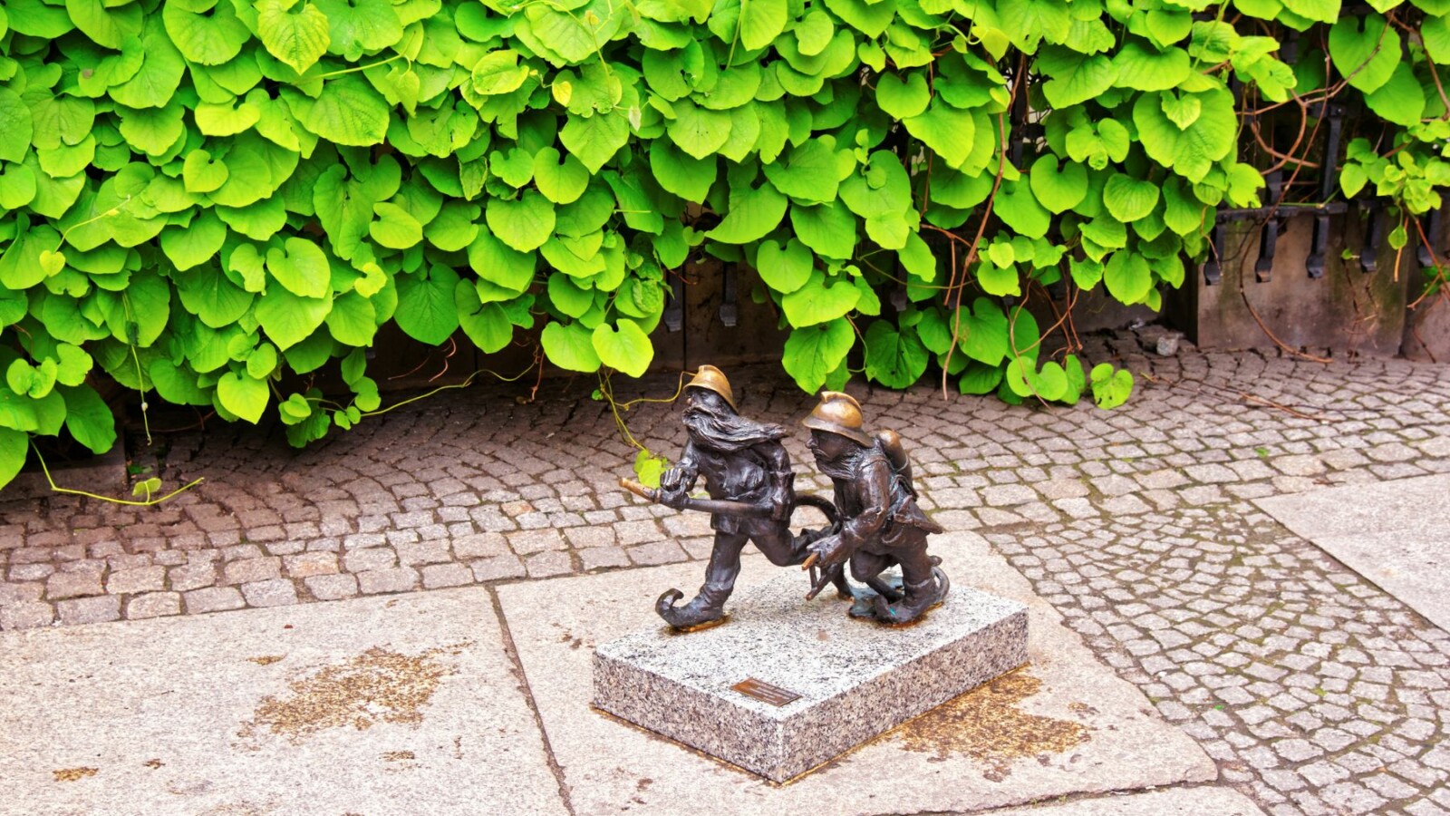 wroclaw-patuljci