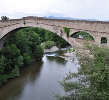 davolji-most-francuska-2