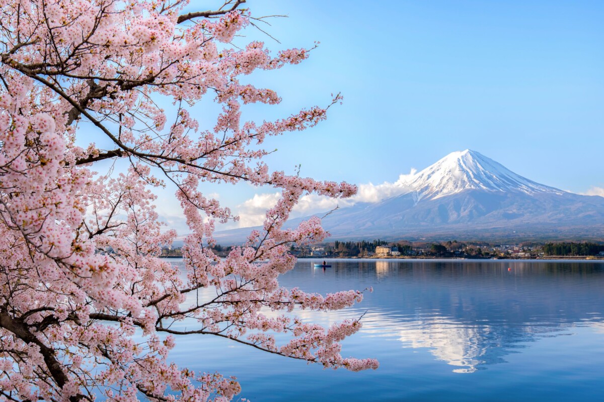 Pogled na snijegom prekriveni Mount Fuji u Japanu, s cvjetovima trešnje u prvom planu i mirnim jezerom koje reflektira planinu.