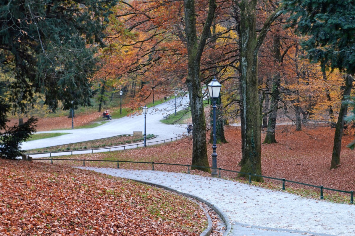 park-maksimir-setnica Jesenska idila u parku Maksimir u Zagrebu – predivne šetnice, visoka stabla i prekrivač od lišća stvaraju savršenu atmosferu za opuštanje u prirodi.