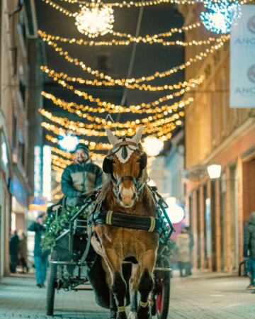advent-u-mariboru-kocija Advent u Mariboru, kočija