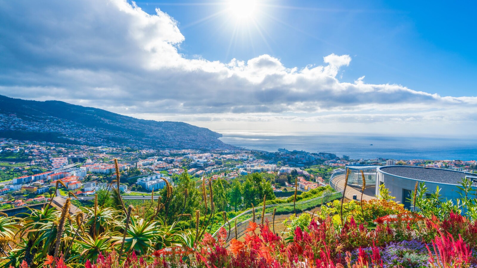 madeira-1