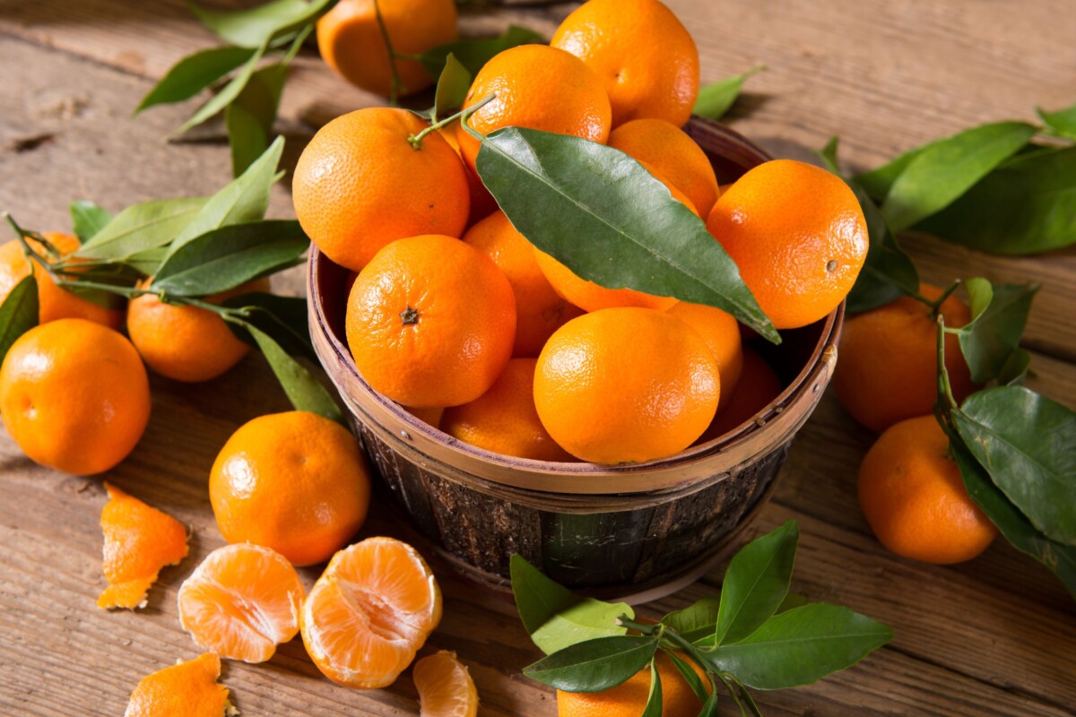mandarina Mandarine, hrpa mandarina