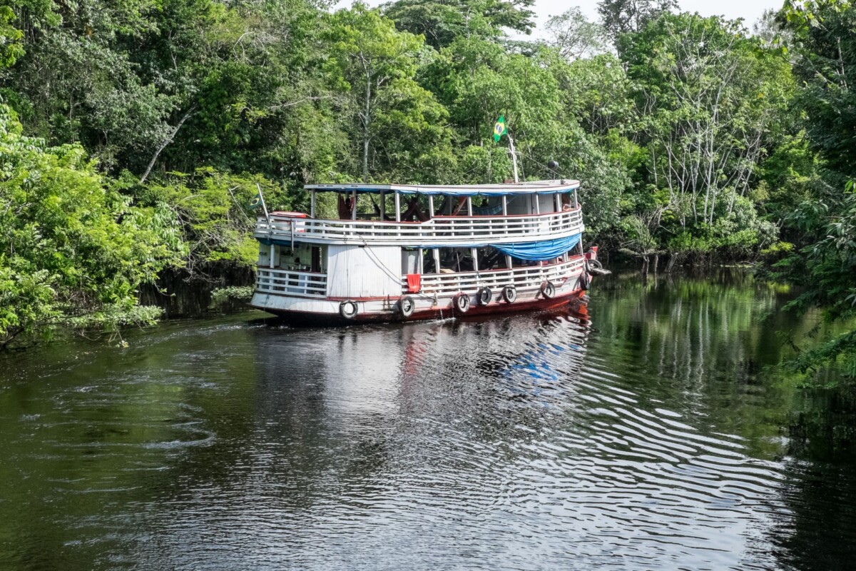 amazona-6