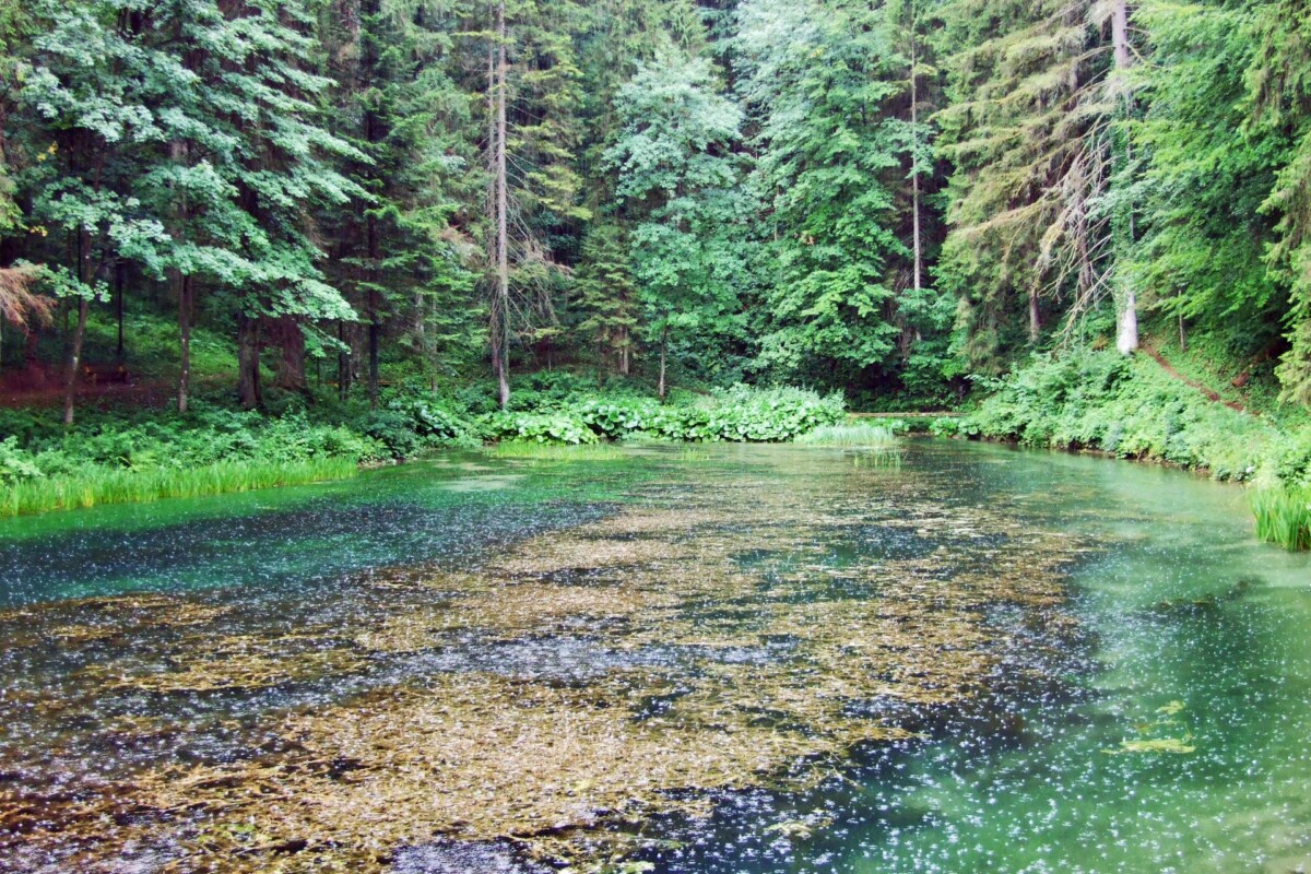čogrljevo jezero-2 Čogrljevo jezero