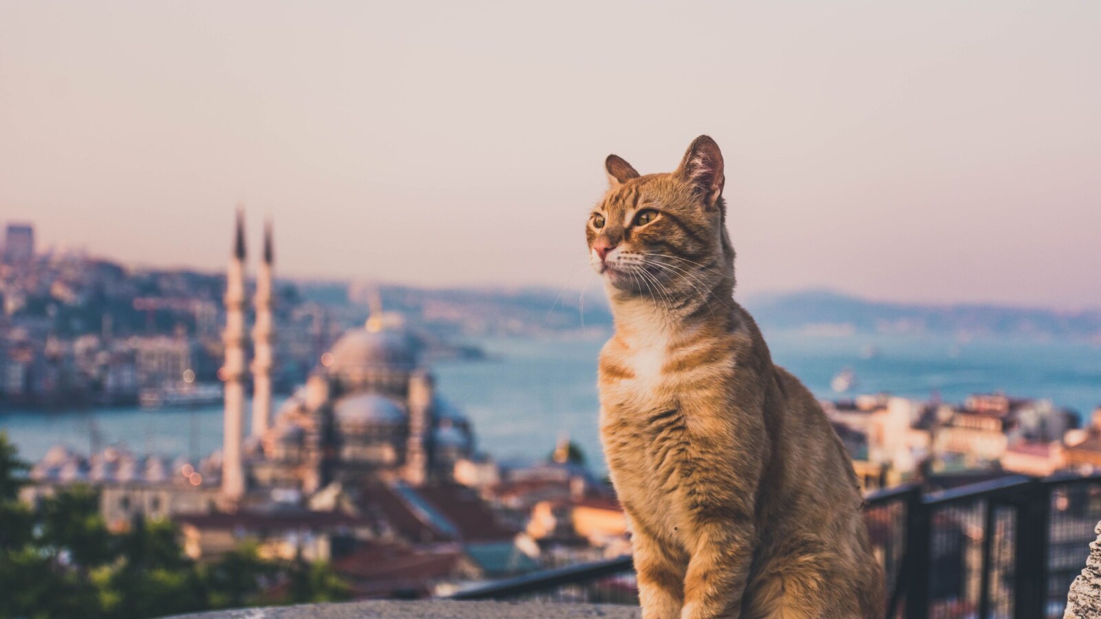 macke-istanbul