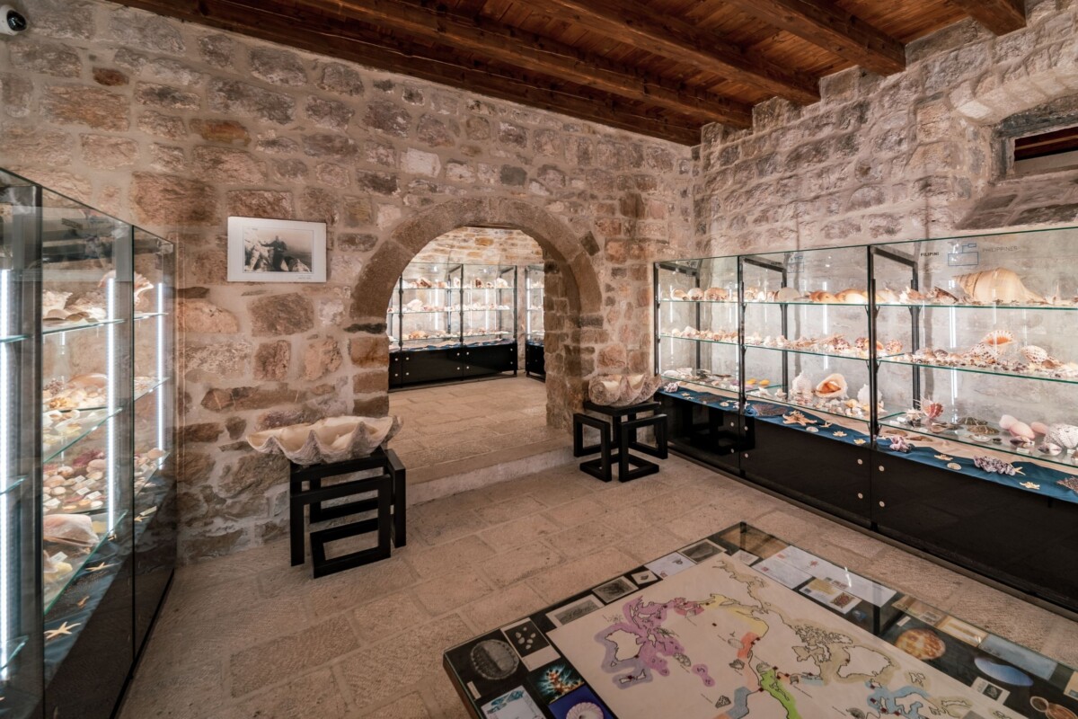 malakoloski-muzej-makarska1 malakološki muzej u Makarskoj