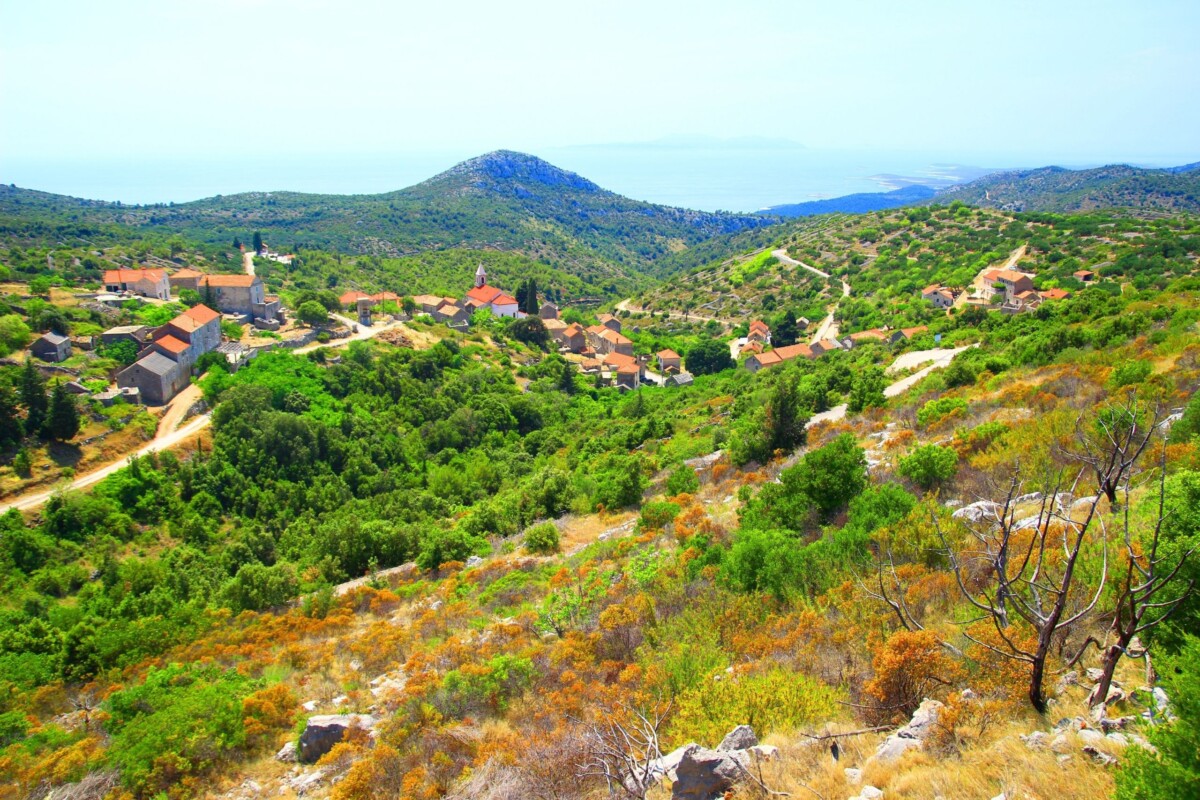 selo-brusje-hvar Selo Brusje