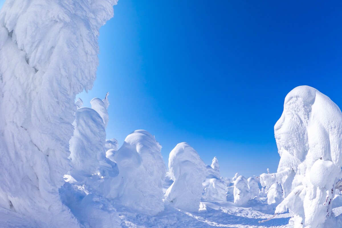 snježna čudovišta juhyo na planini Zao u Japanu