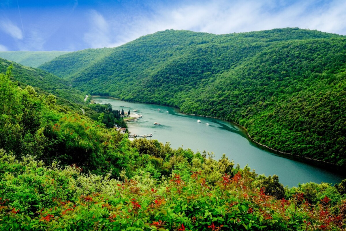 Limski kanal u Istri okružen bujnim zelenilom, snimljen iz zraka